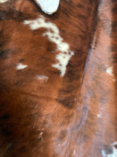 Cow and longhorn hides