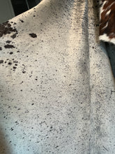 Cow and longhorn hides