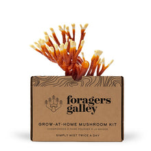 Foragers Galley Mushroom Kits