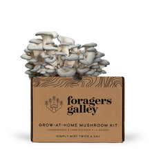 Foragers Galley Mushroom Kits