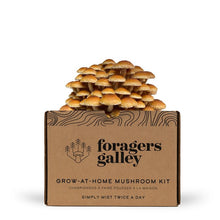 Foragers Galley Mushroom Kits