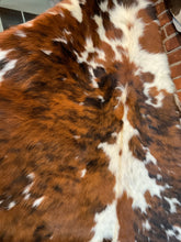 Cow and longhorn hides