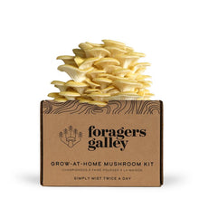 Foragers Galley Mushroom Kits
