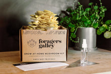 Foragers Galley Mushroom Kits