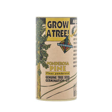 Seed Kit