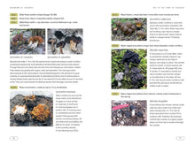 Mushrooms of Cascadia