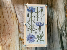 Flower Press