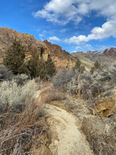 Women's Superior Wool Shirt