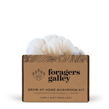 Foragers Galley Mushroom Kits