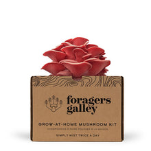 Foragers Galley Mushroom Kits