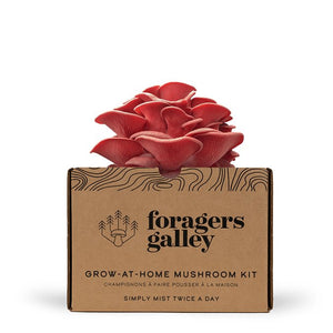 Foragers Galley Mushroom Kits
