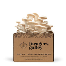 Foragers Galley Mushroom Kits