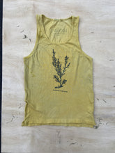 High Desert Tank