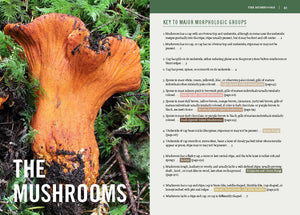 Mushrooms of the Pacific Northwest