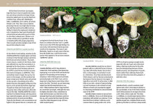 Mushrooms of the Pacific Northwest