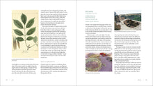 Iwígara- The Kinship of Plants and People - Enrique Salmón